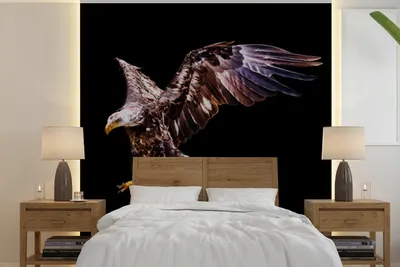 Produktbild von MuchoWow® Fototapete für Wohnzimmer oder Schlafzimmer Wandtapete Vinyl Motivtapete Adler - Vogel - Schwarz - 280x280 cm - Hintergrundbild