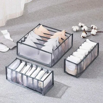 Obrázok produktu pre Organizér na spodnú bielizeň so sklopnou zásuvkou, 3 ks, sivý
