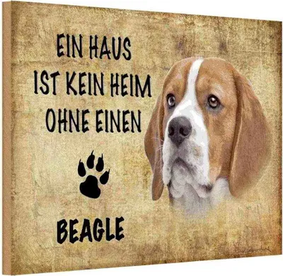 Produktbild von vianmo Holzschild 12x18 cm Beagle Hund ohne kein Heim Tier Haustier