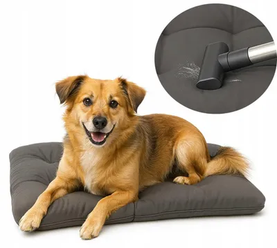 Produktbild von Superkissen24 premium weiches Hundekissen 70x50 Mikrofaser