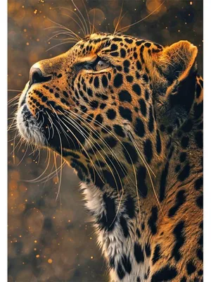 Obrázek produktu pro Diamond Painting: Leopard, 40x50 cm, DIY sada pro dospělé, obrázek s kamínky, zvíře, mozaika, kreativní sada
