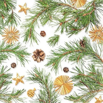 Produktbild von 20 Servietten Pines and more - Strohsterne und Zapfen an Zweige 33x33cm