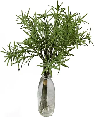 Produktbild von Rosmarin in Vase Kunstpflanze Flora