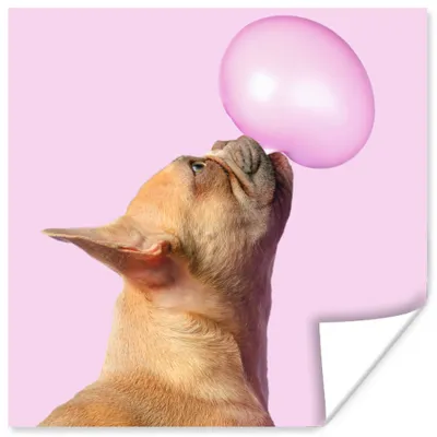 Produktbild von MuchoWow® Poster Hund - Tiere - Kaugummi - Rosa 100x100 cm - Babyzimmer