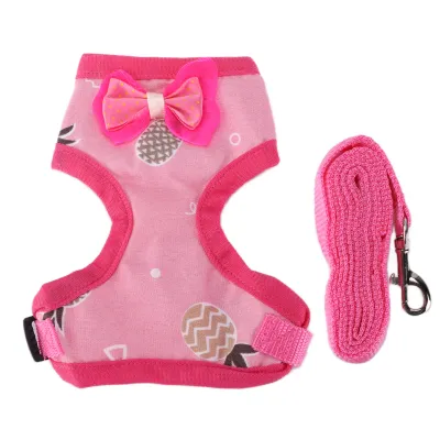 Produktbild von Pet Chicken Pull Rope Training Walking Pet Chicken Nastavitelný popruh Pull Rope