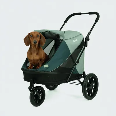 Produktbild von InnoPet® Hundebuggy "Noah" Lagoon - IPS-051/L Hundewagen grün plattfußfrei - für kleine Hunde