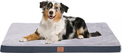 Produktbild von Orthopädisches Premium Hundebett mit Egg Foam, Hundesofa, Hundekissen, waschbar, flauschig, Bezug abnehmbar, waschbar, 112 x 81 x 8 cm, Hellgrau (XL)