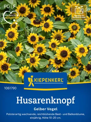 Produktbild von Kiepenkerl Husarenknopfsamen Gelber Vogel Sanvitalia procumbens 50 Pflanzen