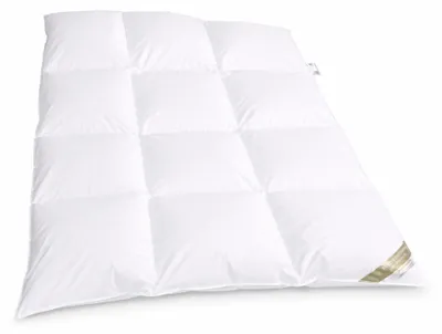 Produktbild von Betten Hofmann Winter Daunenbett Daunendecke Bettdecke 3x4 135x200 cm 100% neue Daunen Natur