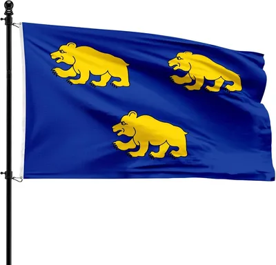 Imagen del producto de Bandera del municipio de Beernem, 90 x 150 cm, de poliéster, para asta de bandera