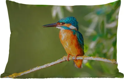 Produktbild von MuchoWow® Outdoor Kissen - Vogel - Eisvogel - Zweig - Blätter - Moos - 60x40 cm - Wetterfest - Lounge Kissen - Zierkissen - Kissen für Innenräume