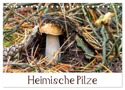 Produktbild von Heimische Pilze (Tischkalender 2027 DIN A5 quer), CALVENDO Monatskalender