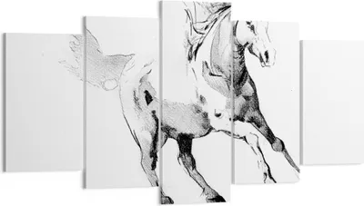 Produktbild von Bild auf Leinwand - Leinwandbild - 5 Teile - Pferd Galopp Tier - 160x85cm - Wand Bild - Wanddeko - Wandbilder - Leinwanddruck - Bilder - Wanddekoration - Leinwand bilder - Wandbild - EA160x85-5117