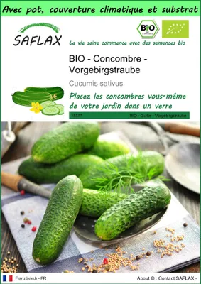 Image de SAFLAX Garden to go -- Concombre - Vorgebirgstraube  - 15 graines - Cucumis
