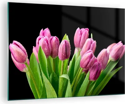 Produktbild von Bilder auf glas - Tulpen Blumenstrauß Tau Tropfen - 70x50cm - Glasbilder - Wandbilder - Kunstdruck - zum Aufhängen bereit - Wanddekoration aus Glas - Glas Bilder - Wandbild auf Glas - GAA70x50-2486