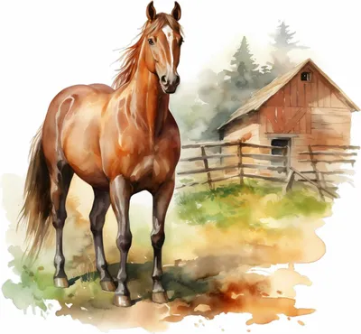 Produktbild von 246 Wandtattoo Pferd braun - Größe 750 x 750 mm