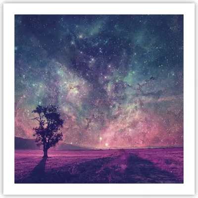 Produktbild von Poster - Poster ohne Rahmen - Kosmos Baum Wiese - 60x60 cm - Wand Bild - Wanddeko - Wandbilder - Kunstposter - Wandposter - Bilder - Kunstdruck - Wanddekoration - Wandbild - P2XAC60x60-4225