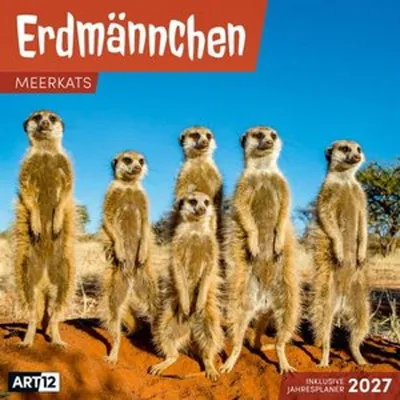 Obrázok produktu pre Kalendár surikát 2027 – 30x30 – Art12