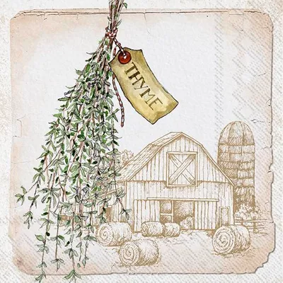 Produktbild von THYME cream Lunch-Servietten L 945960