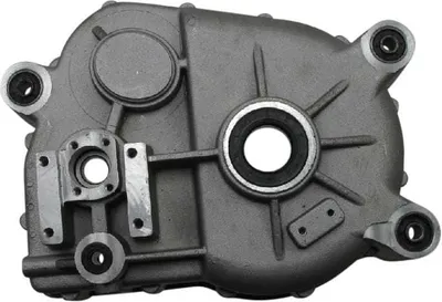 Produktbild von Getriebegehäuse Tongjian Strassenbuggy 250 8.030.040 Motorroller.de Motorgehäuse Eppella ECM Hammerhead Kasea TBM Wangye Buggy 250