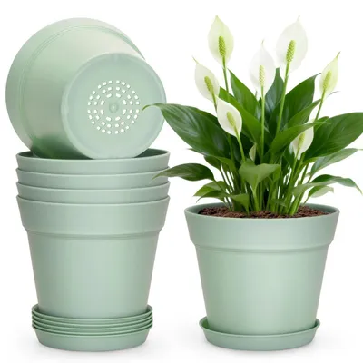 Image de Pots de fleurs avec soucoupe, lot de 6, 15 cm, plastique, vert