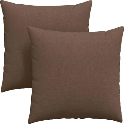 Image de vidaXL Coussins de canapé 2 pcs Marron 60 x 60 cm tissu