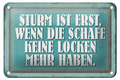 Produktbild von Blechschild Spruch 18x12cm Sturm wenn Schafe keine Locken