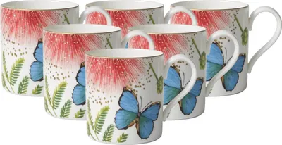 Image de Villeroy & Boch Tasse à café Amazonia 210 ml set de 6 - DS