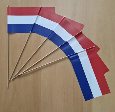 Produktbild von Papierfähnchen Niederlande 50 Stück