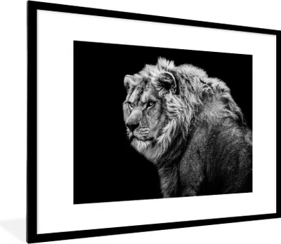 Produktbild von MuchoWow® Gerahmtes Poster Löwe - Porträt - Wildtiere - Schwarz - Weiß 80x60 cm - Poster mit Schwarzem Bilderrahmen Wandposter Rahmen Foto Bilder - Schlafzimmer-Dekorationen - Fotoposter