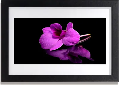 Produktbild von Bild 30x20 MDF-Rahmen Wandkunst Blumen-Stillleben