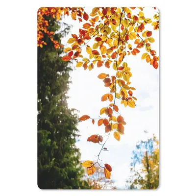 Produktbild von MuchoWow® Mauspad Mousepad Herbst - Laub - Natur 18x27 cm - Mousepads - Maus Mat - Pad - Mausunterlage