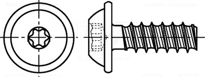 Produktbild von 100x Schraube 3x6 Kopf: Kugelkopf  Torx® für Kuntoff Zink 3205501 Schrauben