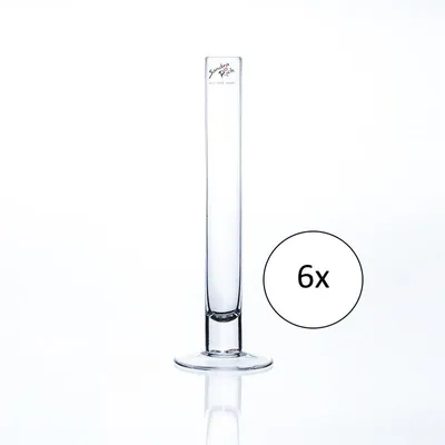 Produktbild von 6er Set Reagenzglasvasen SOLIFLEUR mit Fuss H. 25cm D. 3cm rund klar Sandra Rich