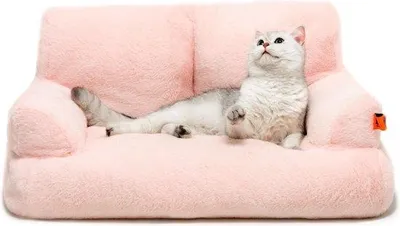 Image de Lit pour chat, canapé, lit pour chien, lit pour animaux de compagnie