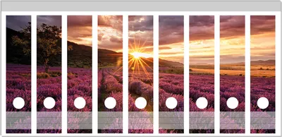 Produktbild von Wallario Ordnerrücken Sticker, selbstklebend für breite Ordner, 9 Stück, Motiv Lavendelfeld bei Sonnenuntergang - Sonnenstrahlen