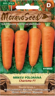 Zdjęcie produktu dla Marchew CHARISMA F1 - hybryda 63722