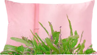 Produktbild von MuchoWow® Zierkissen Sofakissen Wohnzimmer Dekokissen 60x40 cm Pflanze - Sommer - Rosa - Kopfkissen - Polster mit Foto