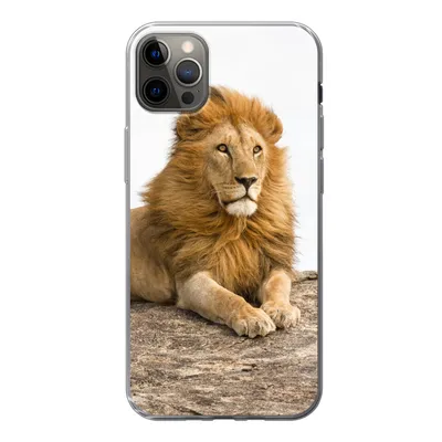 Produktbild von MuchoWow® Handyhülle Schutzhülle Hülle für iPhone 13 Pro Max Löwe - Mähne - Tier Silikon Softcase Handy Hülle - Mobiltelefon