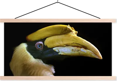 Produktbild von MuchoWow® Textilposter Vogel - Schnabel - Schwarz 60x30 cm mit holzfarbenen Rahmen - Dekoration