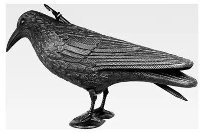 Produktbild von Rabenattrappe zur Vogelabwehr - Schwarze Kunststofffigur für Garten, Balkon, Terrasse - 12 Stück