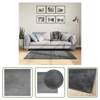 Image de The Living Store tapis OVIEDO velours court anthracite 120x120 cm