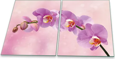 Produktbild von Herdabdeckplatten Spritzschutz Glas Universal 2teilig 2x40x52 Orchidee PInk Deko
