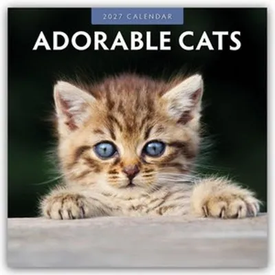 Immagine prodotto di Gatti adorabili - Calendario mensile (16 mesi) per il 2027