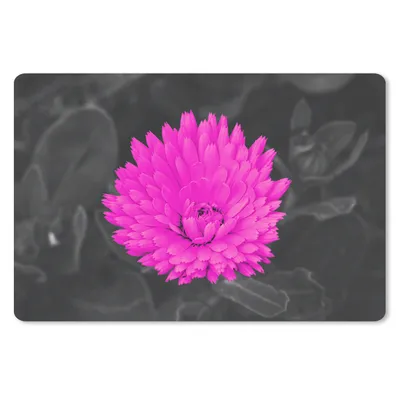 Produktbild von MuchoWow® Schreibtischunterlage Blumen - Aquarell - Rosa 60x40 cm - XXL Mauspad - Großes Mauspad