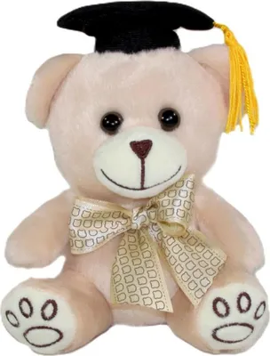 Produktbild von Kuscheltier: Bär mit Doktorhut, 12 cm – Sun-Day