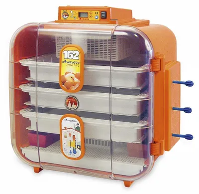 Produktbild von Brutautomat Covatutto 162 digital