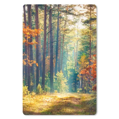 Produktbild von MuchoWow® Mauspad Mousepad Wald - Sonne - Natur - Herbst 40x60 cm - Mousepads - Maus Mat - Pad - Mausunterlage - Schreibtisch Accesoire