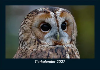 Produktbild von Tierkalender 2027 Fotokalender DIN A5