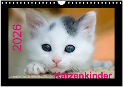 Produktbild von Katzenkinder (Wandkalender 2026 DIN A4 quer), CALVENDO Monatskalender